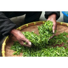 Sourcing Request Sourcing Request