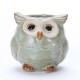 5 Glazed Owl Plant Pots 5 Glazed Owl Plant Pots