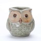 5 Glazed Owl Plant Pots 5 Glazed Owl Plant Pots