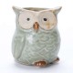 5 Glazed Owl Plant Pots 5 Glazed Owl Plant Pots