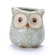 5 Glazed Owl Plant Pots 5 Glazed Owl Plant Pots