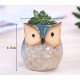 5 Glazed Owl Plant Pots 5 Glazed Owl Plant Pots