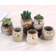 5 Glazed Owl Plant Pots 5 Glazed Owl Plant Pots