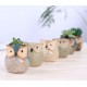 5 Glazed Owl Plant Pots 5 Glazed Owl Plant Pots