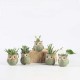 5 Glazed Owl Plant Pots 5 Glazed Owl Plant Pots