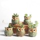 5 Glazed Owl Plant Pots 5 Glazed Owl Plant Pots