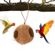 Hanging Coconut Feeder or Planter