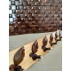 Coconut Clothes Hooks