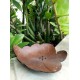 Coconut Soap Dish Coconut Soap Dish