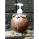 Coconut Liquid Soap Dispenser Coconut Liquid Soap Dispenser