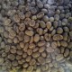 Green Coffee Beans 1kg (Single Origin)