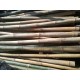 Pring Apus/Tali - String Bamboo Pring Apus/Tali - String Bamboo