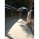 Custom Bamboo Structures Custom Bamboo Structures