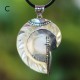 Sea Shell Pendants Sea Shell Pendants