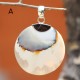 Round Sea Shell Pendants Round Sea Shell Pendants