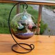 Decorative Glass Ball Planter Decorative Glass Ball Planter