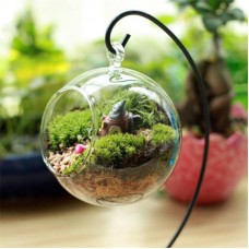 Decorative Glass Ball Planter Decorative Glass Ball Planter