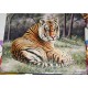Animal Paintings