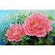Floral Paintings