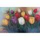 Floral Paintings