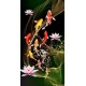 Koi Fish Paintings
