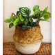 Woven Belly Basket Or Bag