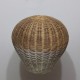Natural Light or Lamp Shades Natural Light or Lamp Shades
