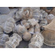 Natural Seashell Lightshades Natural Seashell Lightshades