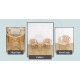 Rattan Furniture Sets Rattan Furniture Sets
