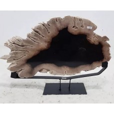 Naturally Petrified Wood - Decorative Plate Naturally Petrified Wood - Decorative Plate