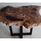 Naturally Petrified Wood - Brown Table Top Naturally Petrified Wood - Brown Table Top