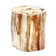 Wood Fossil Garden Stool