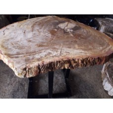 Naturally Petrified Wood - Brown Table Top