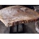 Naturally Petrified Wood - Black Table Top Naturally Petrified Wood - Black Table Top