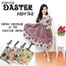 Ladies Dress Ladies Dress