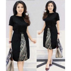 Ladies Dress Ladies Dress
