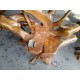 Teak Root Chairs Teak Root Chairs