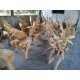 Teak Root Chairs Teak Root Chairs