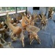 Teak Root Chairs Teak Root Chairs