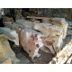 Natural Suar Wood Console Furniture