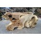 Natural Suar Wood Console Furniture