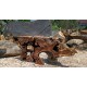 Natural Suar Wood Console Furniture