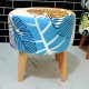 Cushioned Stools Cushioned Stools