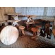 Naturally Shaped Bar Tables