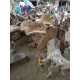 Suar Wood Goblet Chairs
