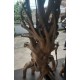 Custom Rootwood Furniture