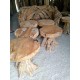 Organic Shaped Suar Slab Wood Tables