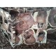 Suar Wood Tiles (large)