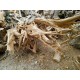 Natural Wood Art (free standing)