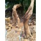 Natural Wood Art (mounted)